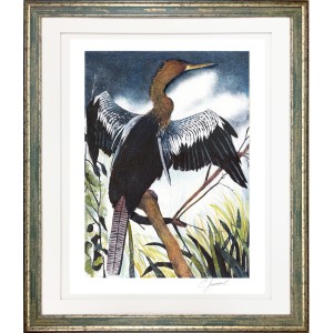 CL- ANHINGA